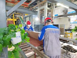 Bu, Yuanchen Fabrikasındaki üretim tesisinin, DeNOx petek katalizörlerinin üretimine yönelik tüm üretim hattını gösteren bir görüntüsüdür.